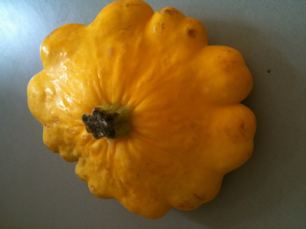 Guess the veg! Round 1 - Pattypan squash