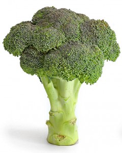 Broccoli