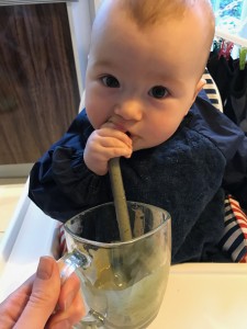 Smoothie for babies